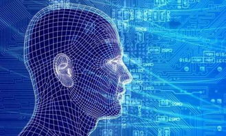 從小白到大數(shù)據(jù)人工智能專家的進階之路 聚焦基礎軟件開發(fā)