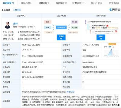 東莞團(tuán)貸網(wǎng)互聯(lián)網(wǎng)科技服務(wù)被列入經(jīng)營(yíng)異常名錄 網(wǎng)絡(luò)技術(shù)開發(fā)與信息咨詢的合規(guī)警示